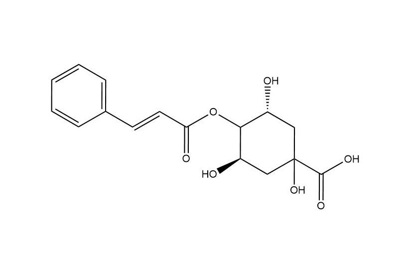 4-O-肉桂?？鼘幩醸5509-70-6